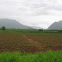 Thailand (258)
